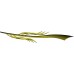 Dart_102